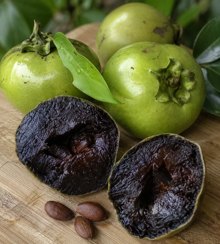 Sale27 schwarze sapote - sale27,