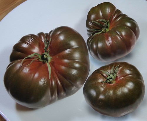 Samen tomate black krim - 50,