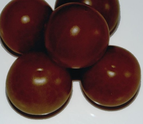 Samen black cherry frühe - samen,