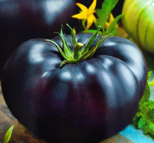 Samen tomate black beauty - 40,
