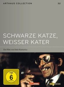 Schwarze katze weisser kater - schwarze,