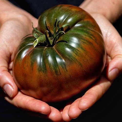 10samen tomate schwarze krim - 10samen, krim"